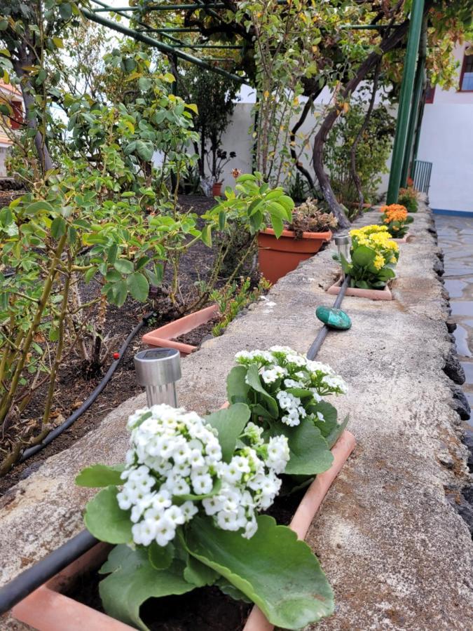 Casa Natalia. Daire Taibique Dış mekan fotoğraf
